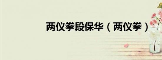 两仪拳段保华（两仪拳）