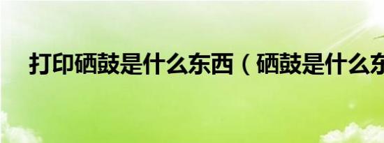 打印硒鼓是什么东西（硒鼓是什么东西）