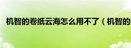 机智的卷纸云海怎么用不了（机智的卷纸）