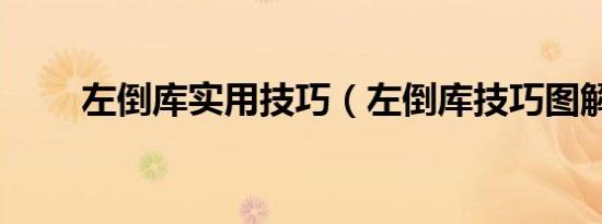 左倒库实用技巧（左倒库技巧图解）