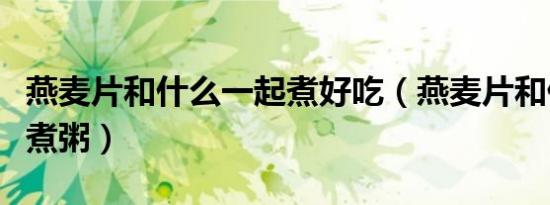 燕麦片和什么一起煮好吃（燕麦片和什么一起煮粥）