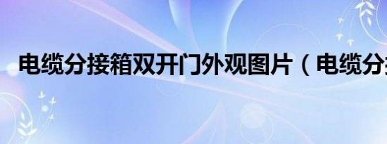 电缆分接箱双开门外观图片（电缆分接箱）