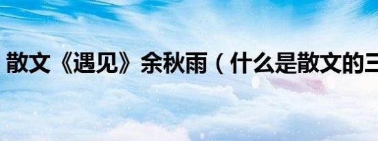 散文《遇见》余秋雨（什么是散文的三要素）