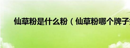 仙草粉是什么粉（仙草粉哪个牌子好）