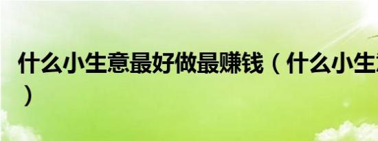 什么小生意最好做最赚钱（什么小生意最好做）