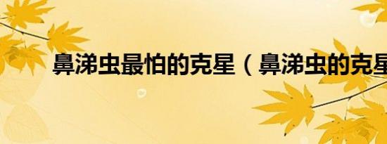 鼻涕虫最怕的克星（鼻涕虫的克星）