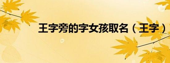 王字旁的字女孩取名（王字）