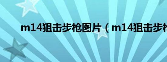 m14狙击步枪图片（m14狙击步枪）