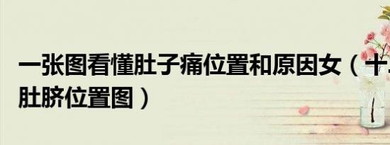 一张图看懂肚子痛位置和原因女（十二指肠在肚脐位置图）