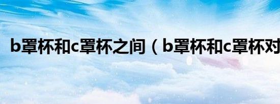 b罩杯和c罩杯之间（b罩杯和c罩杯对比照）