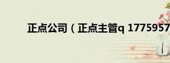 正点公司（正点主管q 1775957）