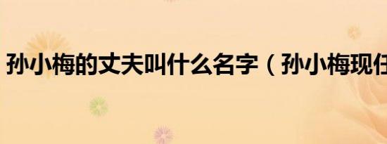 孙小梅的丈夫叫什么名字（孙小梅现任老公）