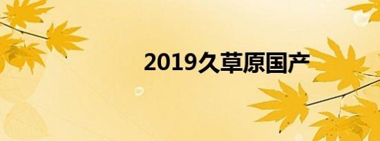 2019久草原国产