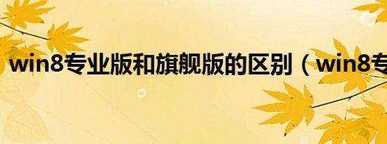 win8专业版和旗舰版的区别（win8专业版）