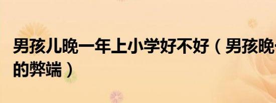 男孩儿晚一年上小学好不好（男孩晚一年上学的弊端）