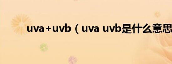 uva+uvb（uva uvb是什么意思）