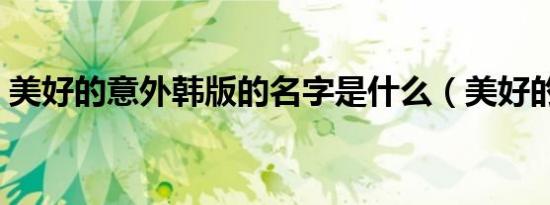 美好的意外韩版的名字是什么（美好的意外）