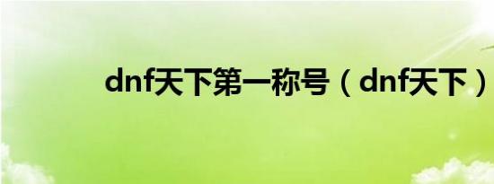 dnf天下第一称号（dnf天下）