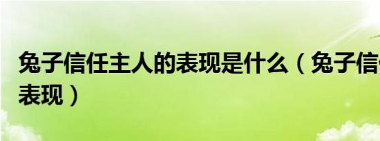兔子信任主人的表现是什么（兔子信任主人的表现）