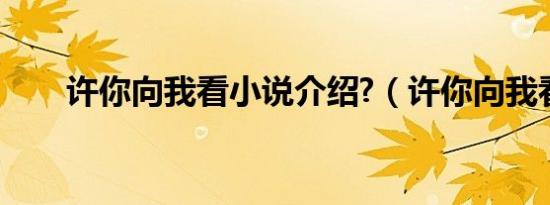 许你向我看小说介绍?（许你向我看）