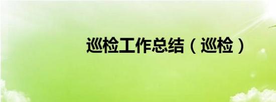 巡检工作总结（巡检）