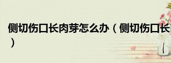 荣耀v9的参数（华为荣耀v9配置）