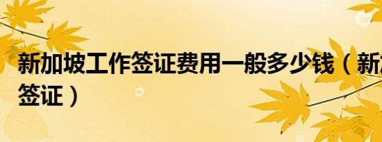 新加坡工作签证费用一般多少钱（新加坡工作签证）