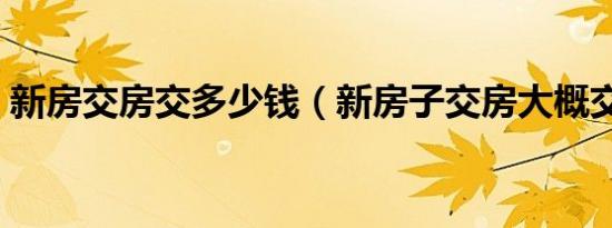 新房交房交多少钱（新房子交房大概交几万）