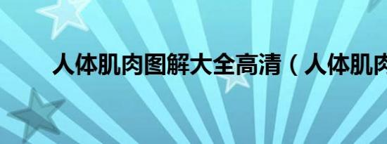 人体肌肉图解大全高清（人体肌肉）