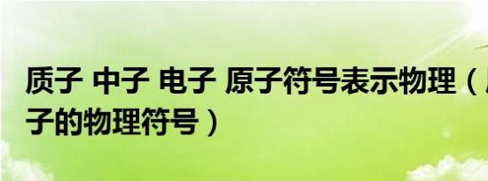 质子 中子 电子 原子符号表示物理（质子和中子的物理符号）