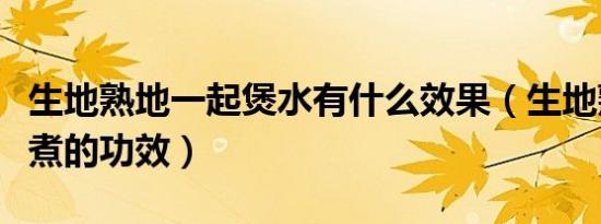 生地熟地一起煲水有什么效果（生地熟地一起煮的功效）