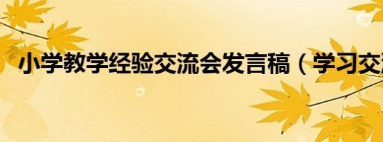 小学教学经验交流会发言稿（学习交流会）
