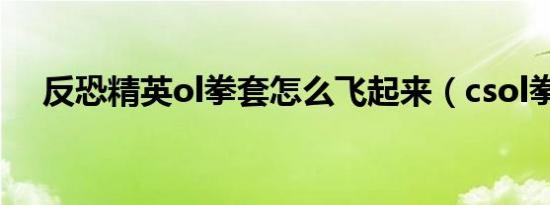 反恐精英ol拳套怎么飞起来（csol拳套）