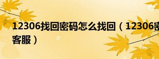 12306找回密码怎么找回（12306密码找回客服）