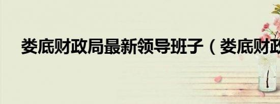 娄底财政局最新领导班子（娄底财政局）