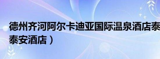 德州齐河阿尔卡迪亚国际温泉酒店泰安酒店（泰安酒店）
