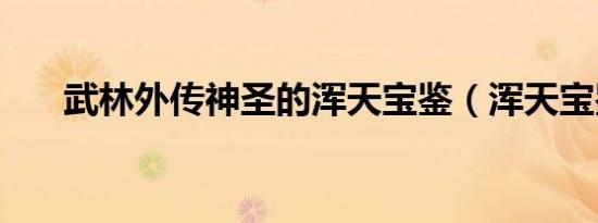 武林外传神圣的浑天宝鉴（浑天宝鉴）