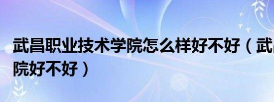 武昌职业技术学院怎么样好不好（武昌职业学院好不好）