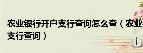 农业银行开户支行查询怎么查（农业银行开户支行查询）