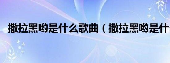 撒拉黑哟是什么歌曲（撒拉黑哟是什么歌）
