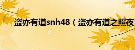 盗亦有道snh48（盗亦有道之照夜白）
