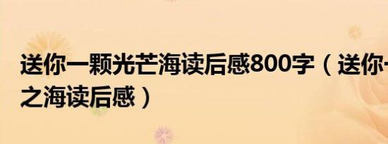 送你一颗光芒海读后感800字（送你一颗光芒之海读后感）