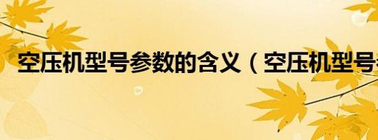 空压机型号参数的含义（空压机型号参数）