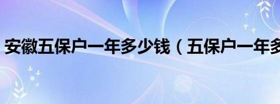 安徽五保户一年多少钱（五保户一年多少钱）