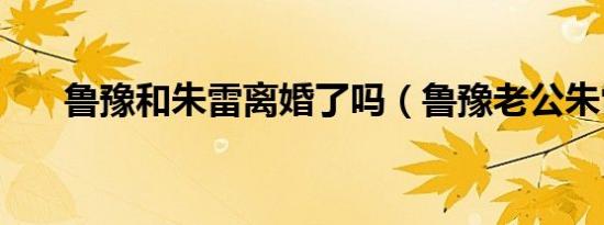 鲁豫和朱雷离婚了吗（鲁豫老公朱雷）