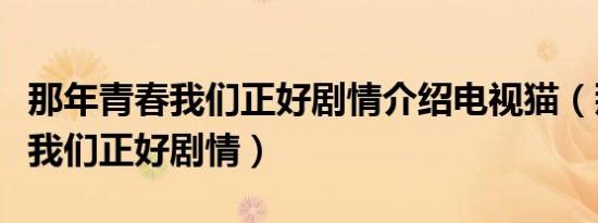 那年青春我们正好剧情介绍电视猫（那年青春我们正好剧情）