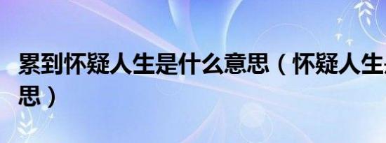 累到怀疑人生是什么意思（怀疑人生是什么意思）