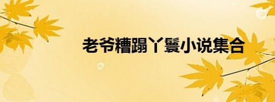 老爷糟蹋丫鬟小说集合