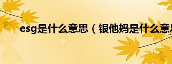 esg是什么意思（银他妈是什么意思）