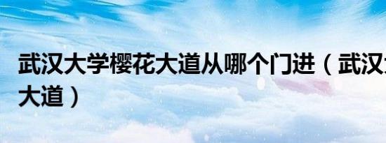 武汉大学樱花大道从哪个门进（武汉大学樱花大道）